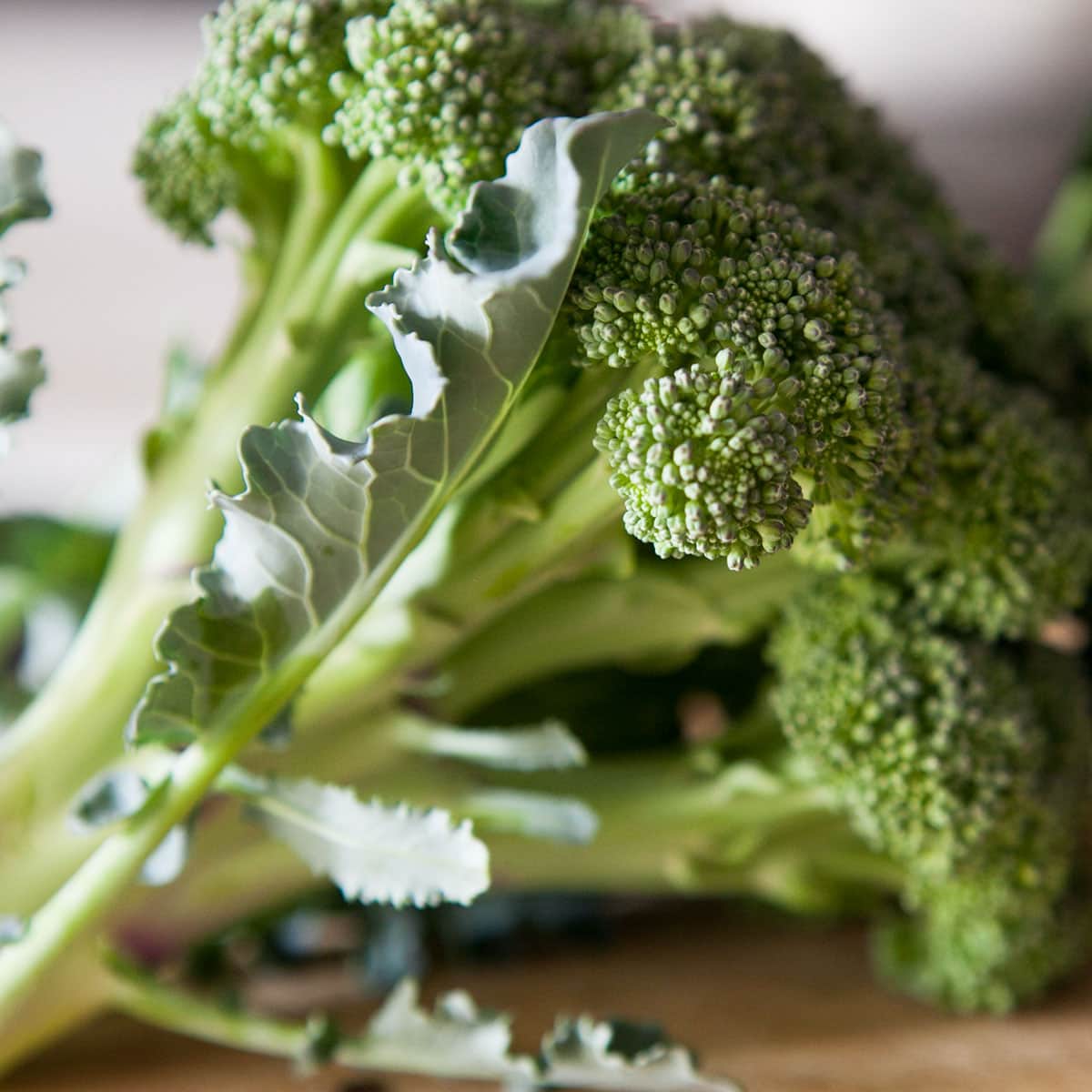 How to Freeze Broccoli for Long-Term Flavor & Savings